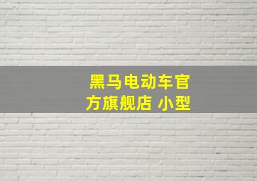 黑马电动车官方旗舰店 小型